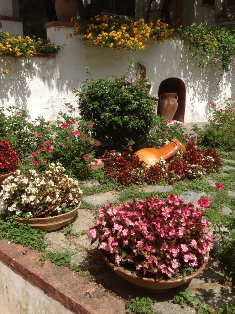Mediterraneo Bed & Breakfast Anacapri  Ngoại thất bức ảnh