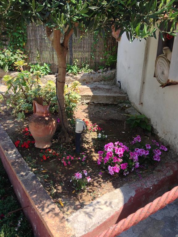 Mediterraneo Bed & Breakfast Anacapri  Ngoại thất bức ảnh