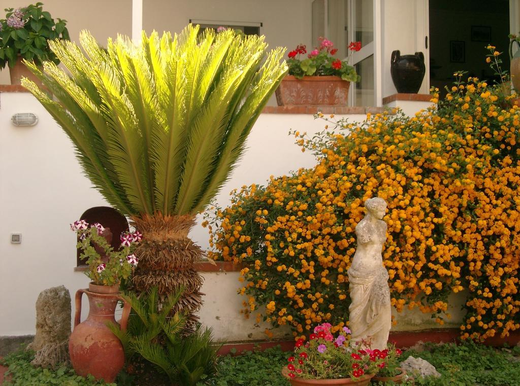 Mediterraneo Bed & Breakfast Anacapri  Ngoại thất bức ảnh