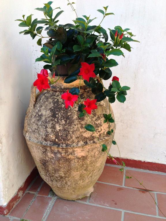 Mediterraneo Bed & Breakfast Anacapri  Ngoại thất bức ảnh