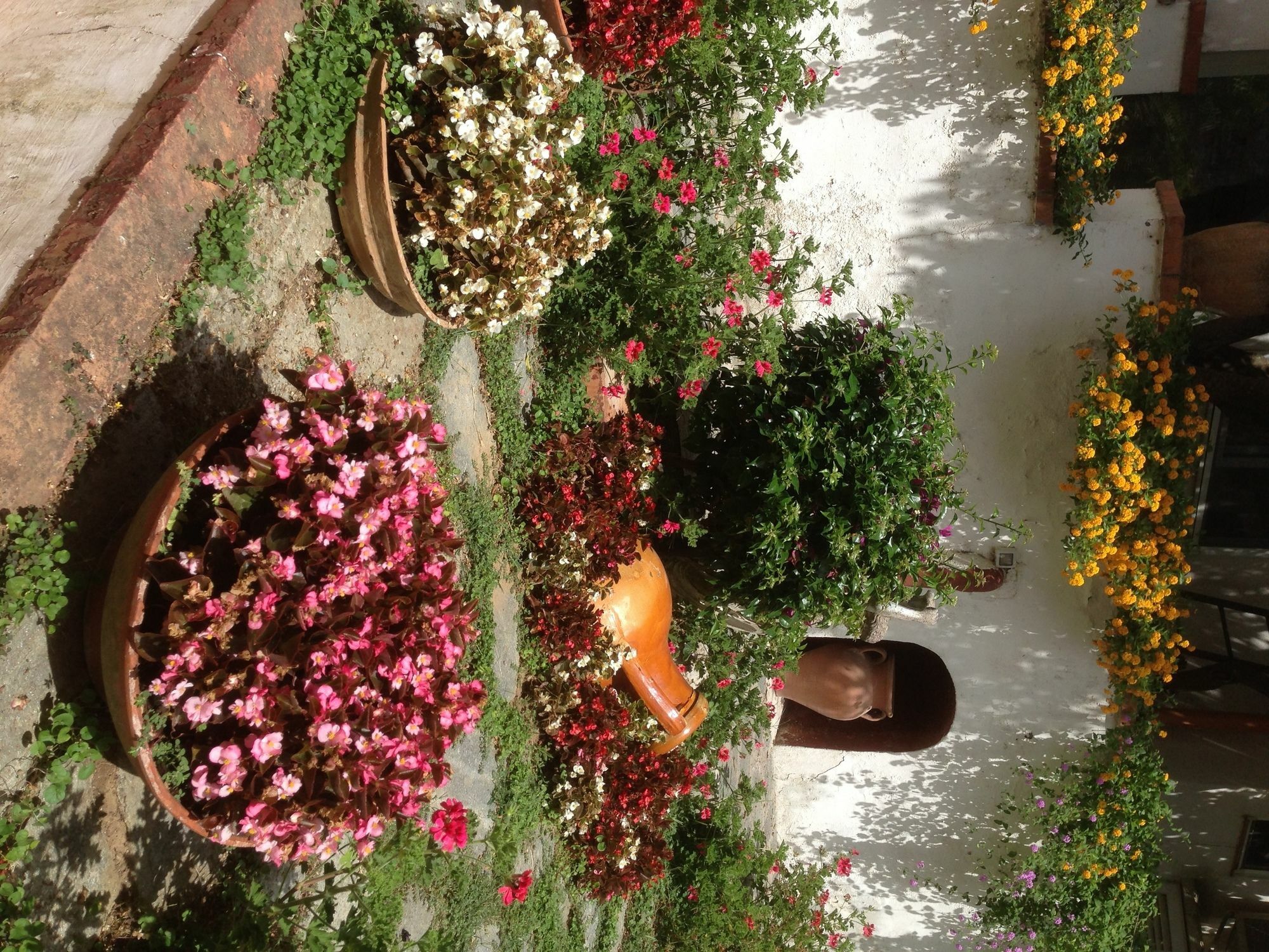 Mediterraneo Bed & Breakfast Anacapri  Ngoại thất bức ảnh