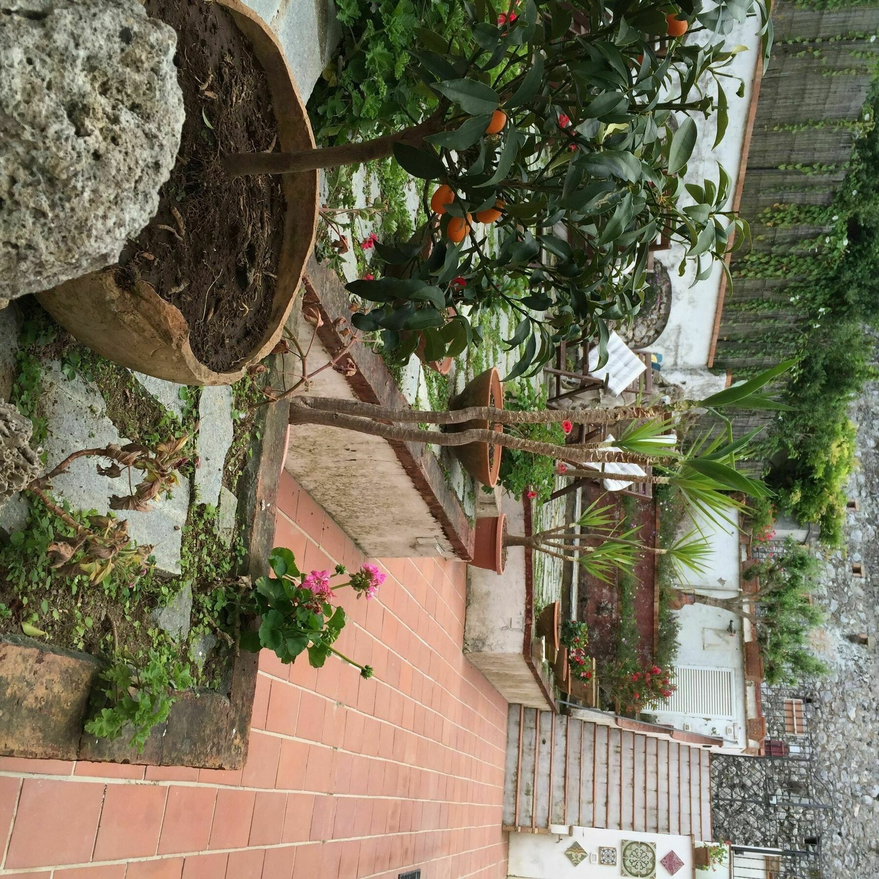 Mediterraneo Bed & Breakfast Anacapri  Ngoại thất bức ảnh