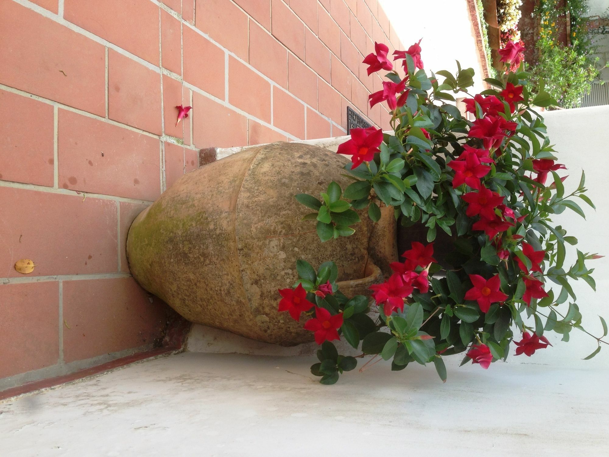 Mediterraneo Bed & Breakfast Anacapri  Ngoại thất bức ảnh